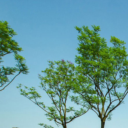 中國唐裝品牌vi設計公司案例作品排行榜