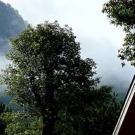 深圳vi設計公司作品案例展示