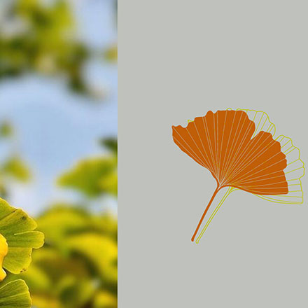 濱州vi設計公司電話