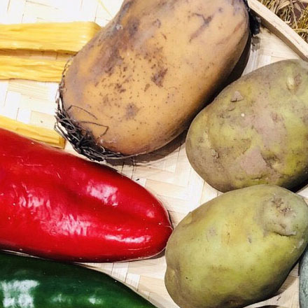 如何建立一套一致的VI設計系統？